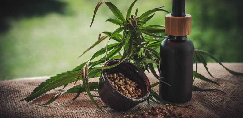 CBD in Österreich: Warum ist diese natürliche Alternative so beliebt?